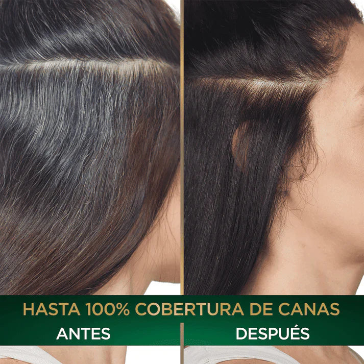 SHAMPOO CUBRE CANA DR. RASHEL® ORIGINAL (EN 10 SACHETS DE 25ML C/U)